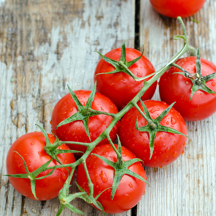 Dwarf Tomatoes Seeds | ๐
Flat 50% Saving๐